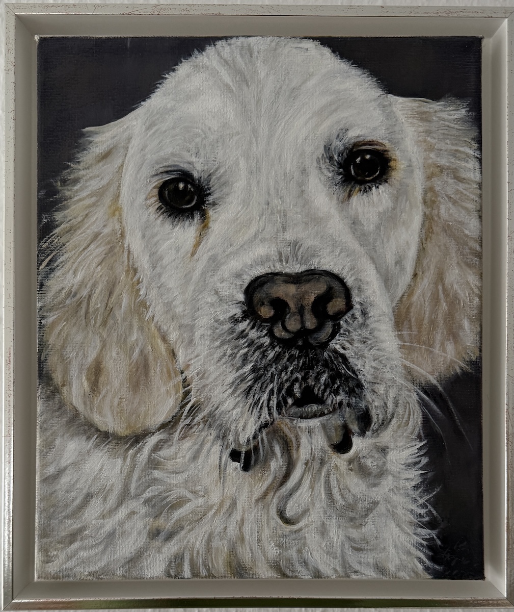 Cooper, ÖaLeinwand, 24x30cm, gerahmt Renate Stepec: Cooper, Ölfarbe auf Leinwand, 24x30cm, gerahmt