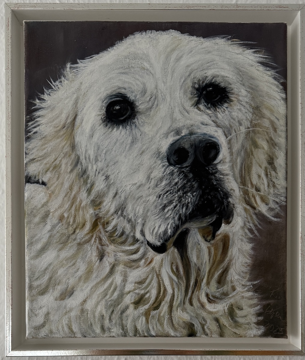 Bailey, ÖaLeinwand, 24x30cm Renate Stepec: Bailey, Ölfarbe auf Leinwand, 24x30cm, gerahmt