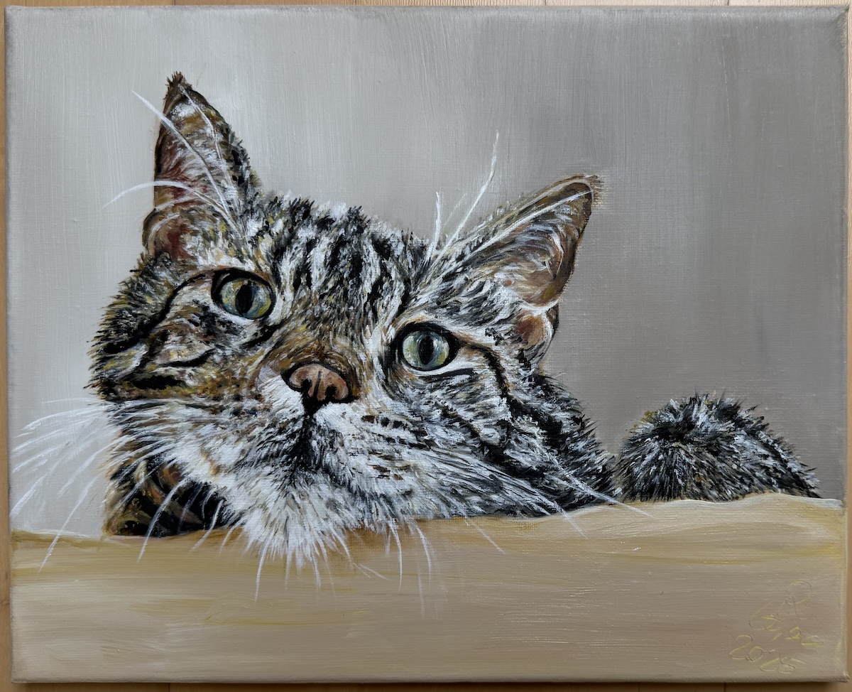 Eddie, ÖaLeinwand, 24x30cm Renate Stepec: Eddie, Ölfarbe auf Leinwand, 24x30cm